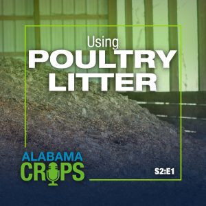 Season 2 Episode 1 - Using Poultry Litter