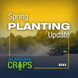 Season 2 Episode 3 – Spring Planting Update