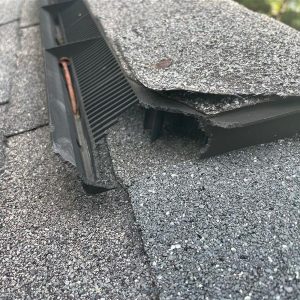 Squirrel damage on the roof of a house.