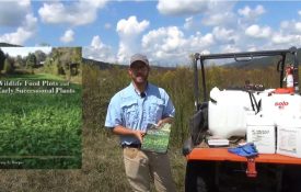 Norm Haley with Wildlife Food Plots and Early Successional Plants