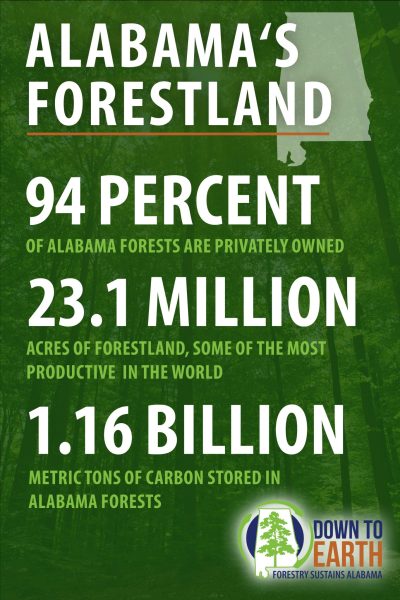 Alabama’s Forestland 94 percent of Alabama forests are privately owned. 23.1 million acres of forestland, some of the most productive in the world. 1.16 billion metric tons of carbon stored in Alabama forests.