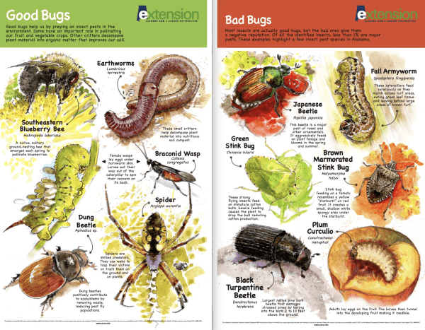 Good Bugs, Bad Bugs posters
