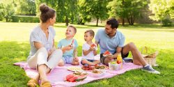 Family, picnic, two sons, mom and dad