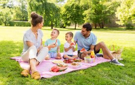 Family, picnic, two sons, mom and dad