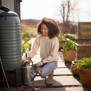 Figure 8. Rain barrels can temporarily store water to be redistributed to a landscape.