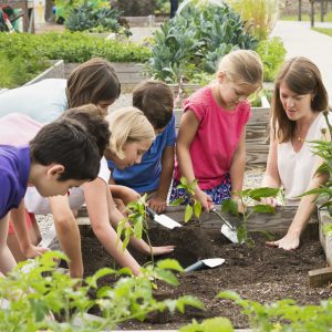 Teacher and students gardening in raised bed