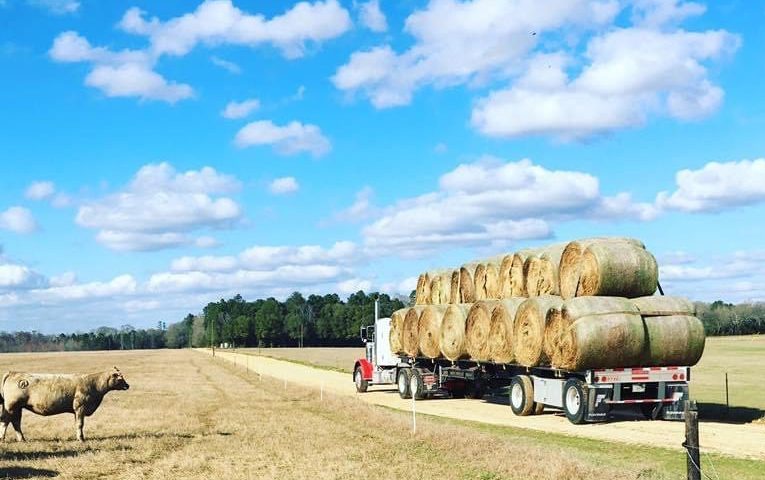 round bales of hay on an 18-wheeler trailer