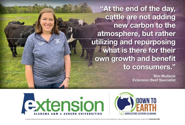 "At the end of the day, cattle are not adding new carbon to the atmosphere, but rather utilizing and repurposing what is there for their own growth and benefit to consumers." – Kim Mullenix, Extension Beef Specialist