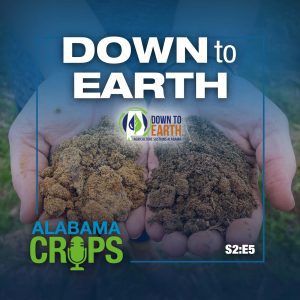 Season 2 Episode 5 Down to Earth