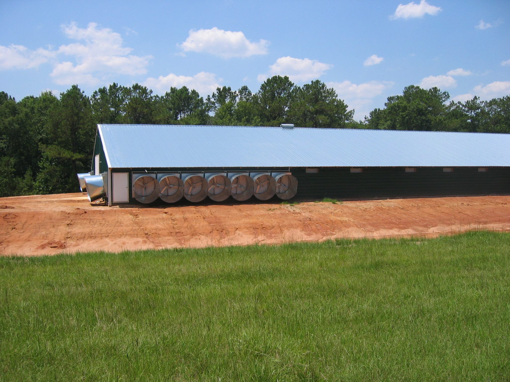 Chicken house exhaust fans