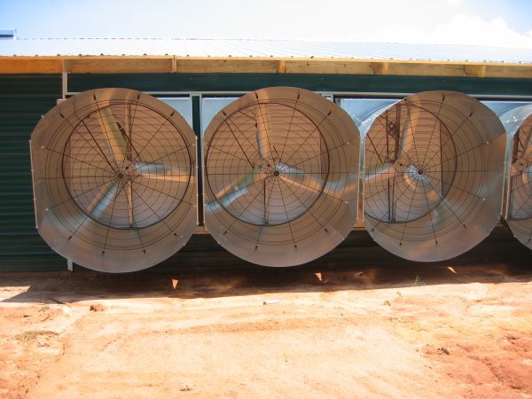 Chicken house exhaust fans