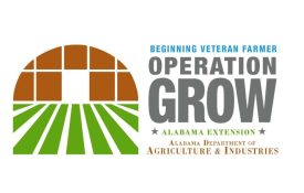 Operation Grow, Beginning Veteran Farmers