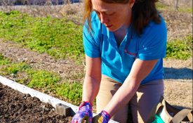 Dani Carroll planting seeds