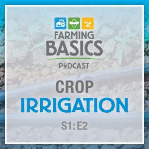 Crop Irrigation