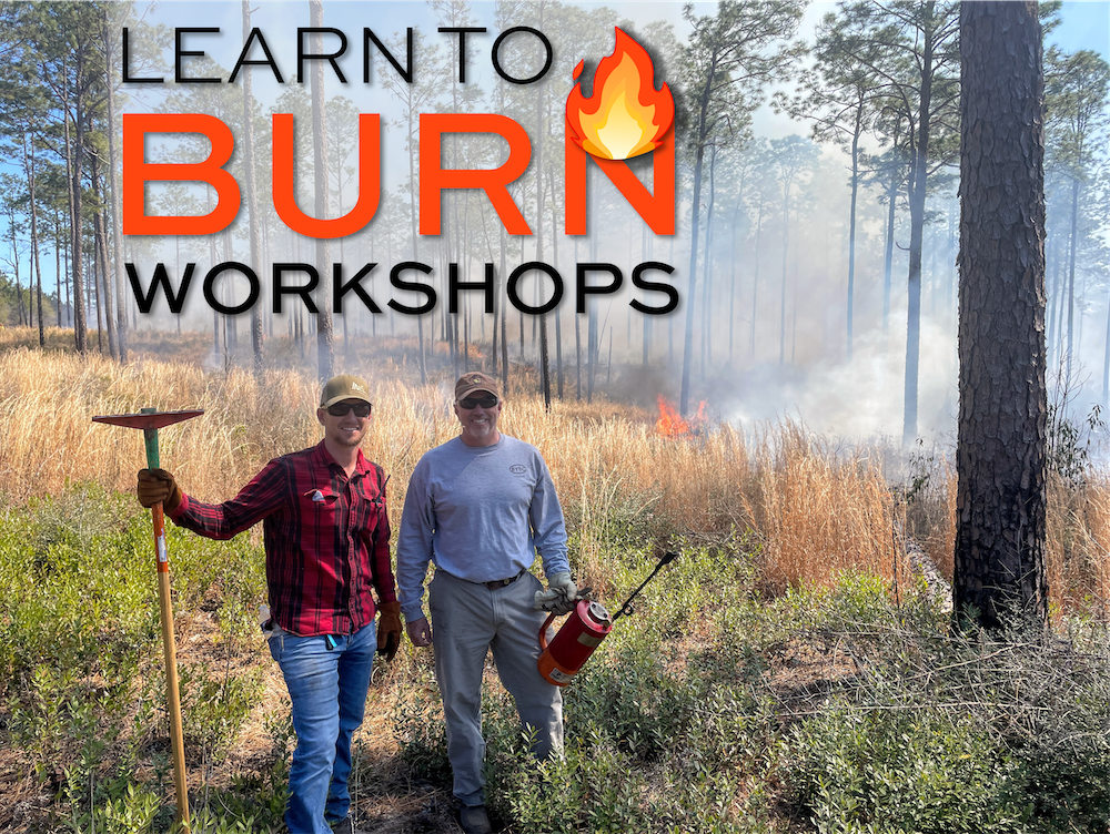 Learn to Burn Workshops Graphic Credit: Kelly Knowles
