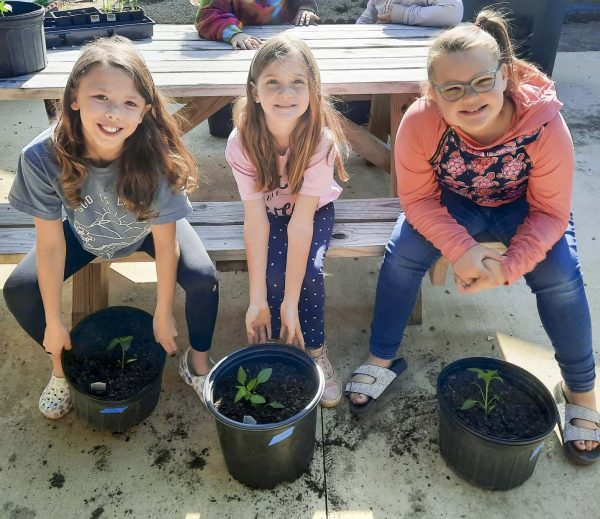 SNAP-Ed students planting a garden in pots and buckets