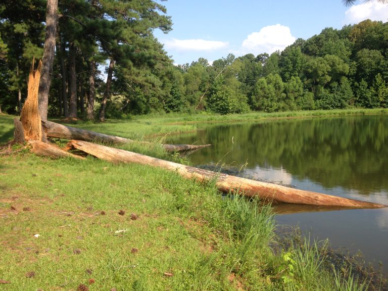 Wildlife Enhancement Management of Recreational Fish Ponds Alabama Cooperative Extension System