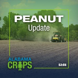 Season 2 Episode 6 – Peanut Update