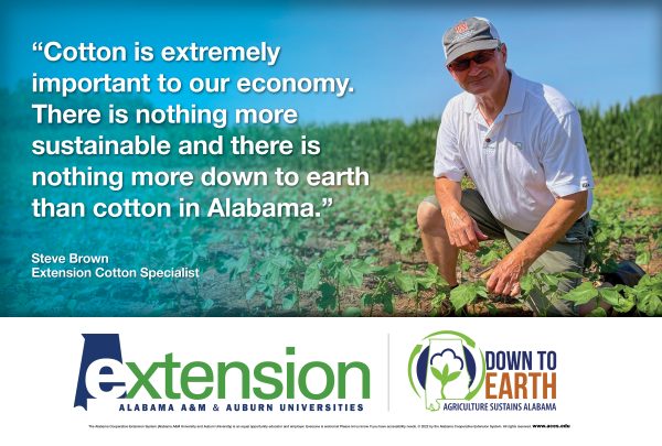 "Cotton is extremely important to our economy. There is nothing more sustainable and there is nothing more down to earth than cotton in Alabama." – Steve Brown, Extension Cotton Specialist