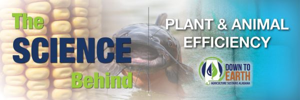 The Science Behind Plant & Animal Efficiency (Twitter Cover Photo)