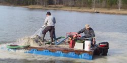 Lime application using a pontoon barge and water pump to evenly distribute the lime.