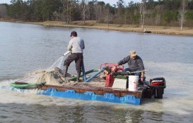 Lime application using a pontoon barge and water pump to evenly distribute the lime.