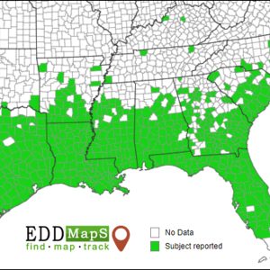 Chinese tallowtree is spreading rapidly. Over the past two decades, populations have increased 500 percent in Louisiana where it is now the fifth most common tree.