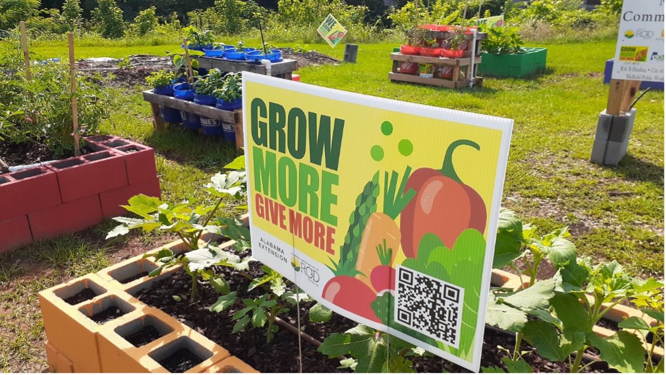 A Grow More, Give More demonstration garden.
