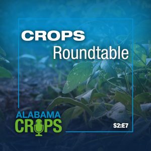 Crops Roundtable - Season 2 Episode 7