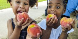 Two girls eating peaches