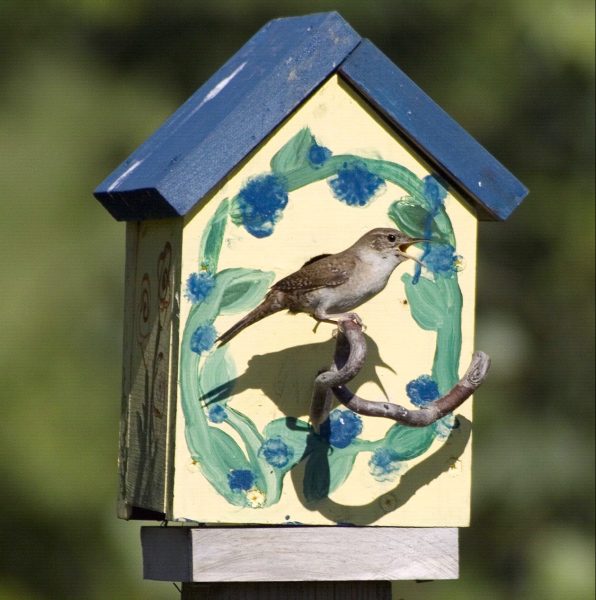 Birdhouses provide attractive habitats. (Photo credit: David Cappaert, Bugwood.org)