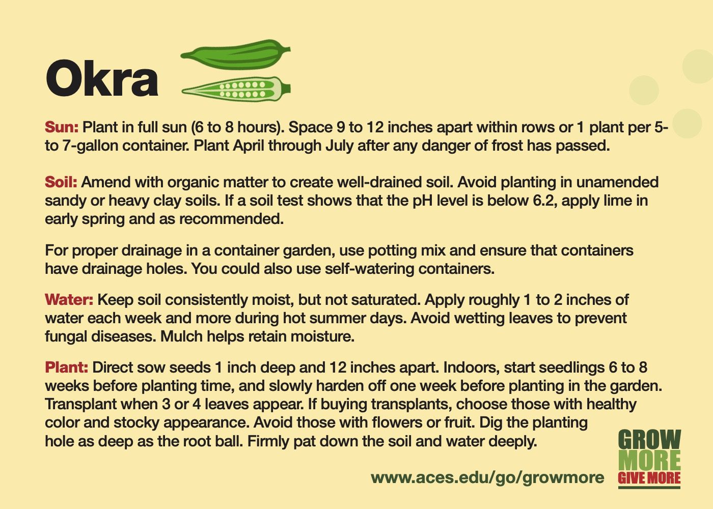 Grow More Okra Alabama Cooperative Extension System