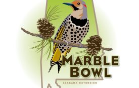 The marble bowl artwork.