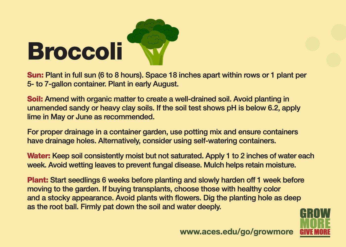 Grow More Broccoli - Alabama Cooperative Extension System