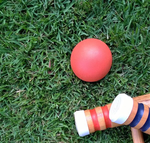 Mowing might be taken for granted, but it is an important step in healthy lawn maintenance.