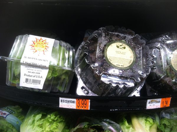 Figure 12. Example of greenhouse lettuce packaged in crispers