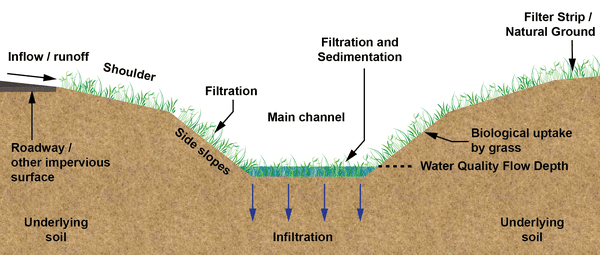 Grass-lined swales direct and filter stormwater runoff and reduce erosion. This illustrates a typical cross section and its stormwater treatment processes. Image used with permission, NCSU-BAE (2020). Ekka, S. & Hunt, B. Swale Terminology for Urban Stormwater Treatment (AG-588-26).