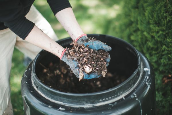 Keep compost moist. It should be crumbly, not soggy wet.