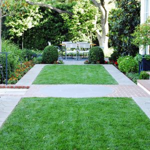 Front yard of modern home