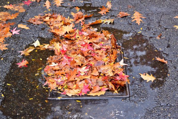 Storm drains can direct pollutants to nearby waterways.