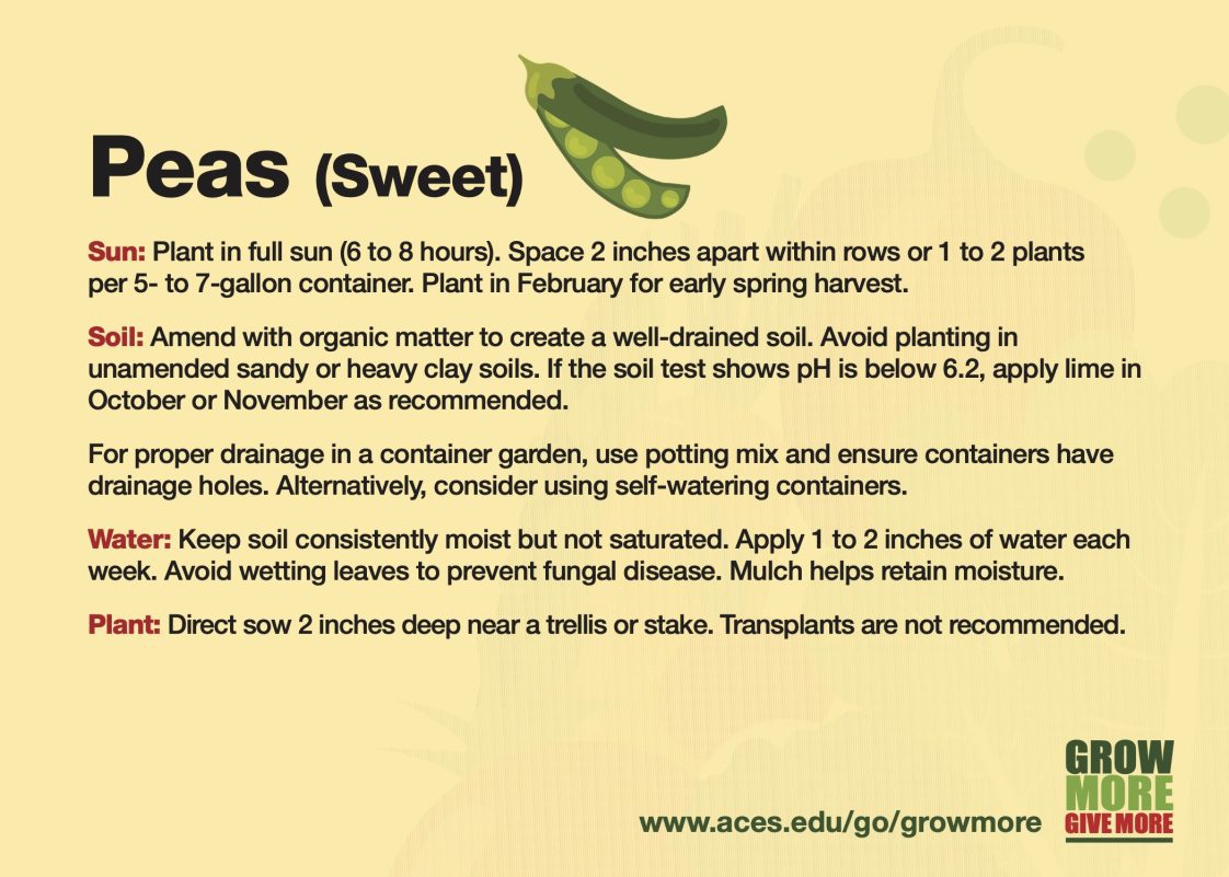 Peas (Sweet)