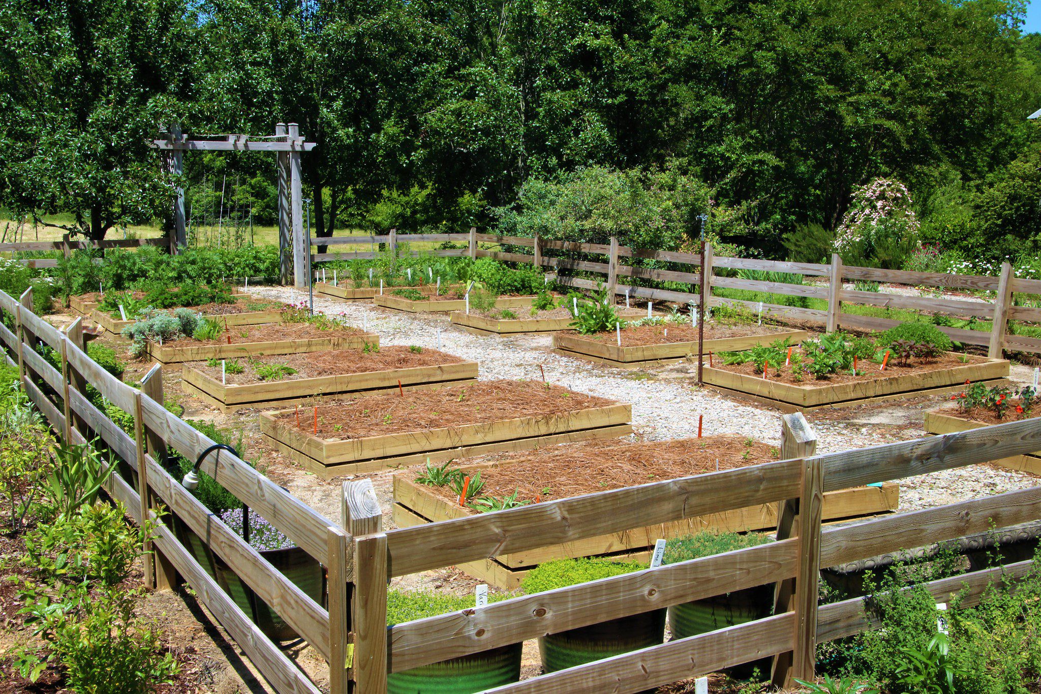 Raised beds surrounded by a wooden fence