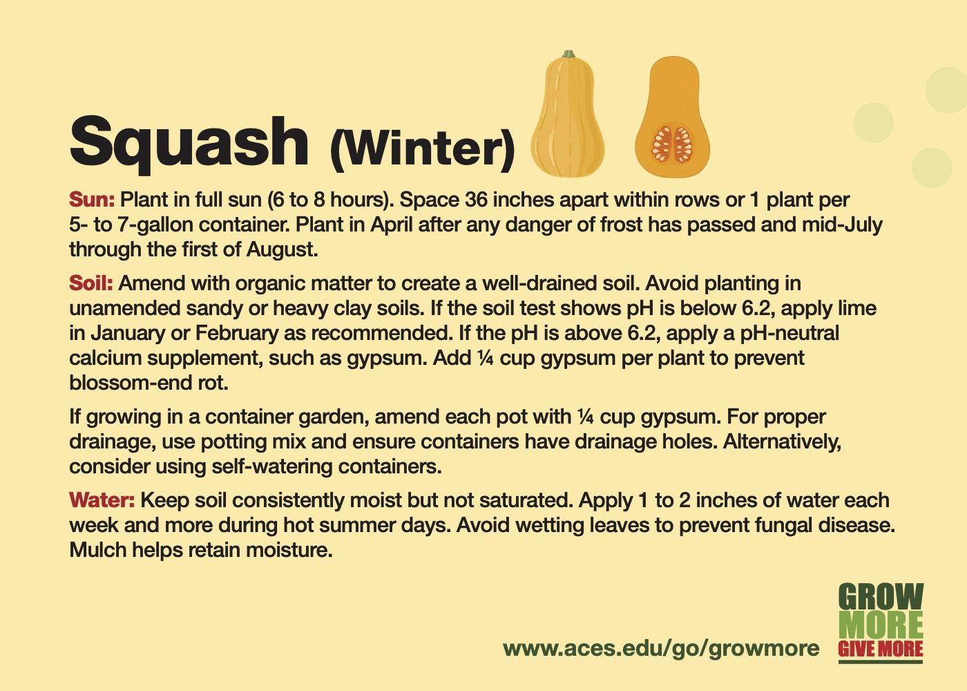 Squash (Winter) Card