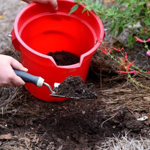 Steps in taking a soil sample for testing.