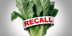 Romaine lettuce with a recall banner around it