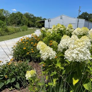 own Creek Public Library Storybook Trail