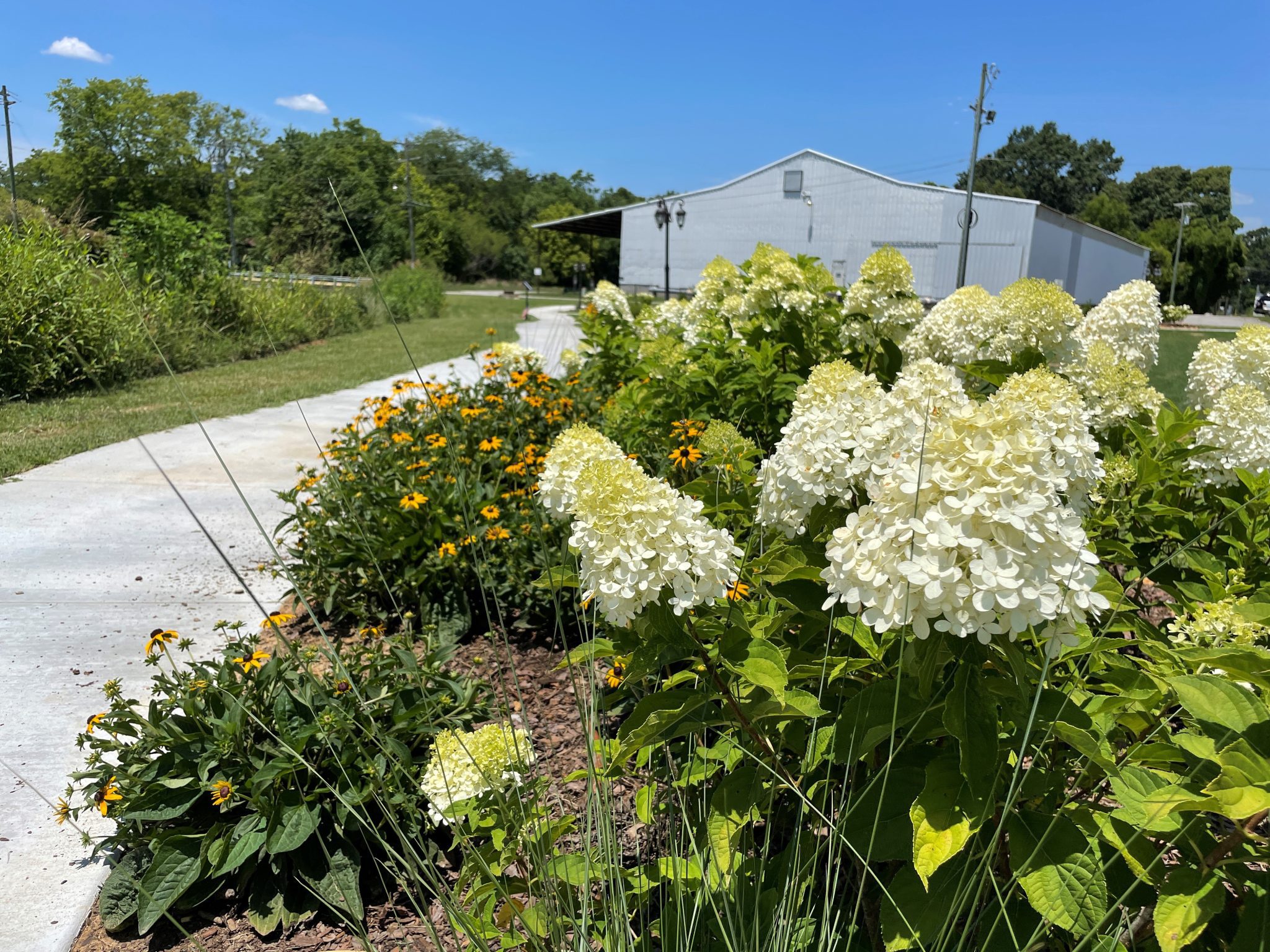own Creek Public Library Storybook Trail