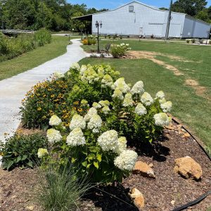 own Creek Public Library Storybook Trail
