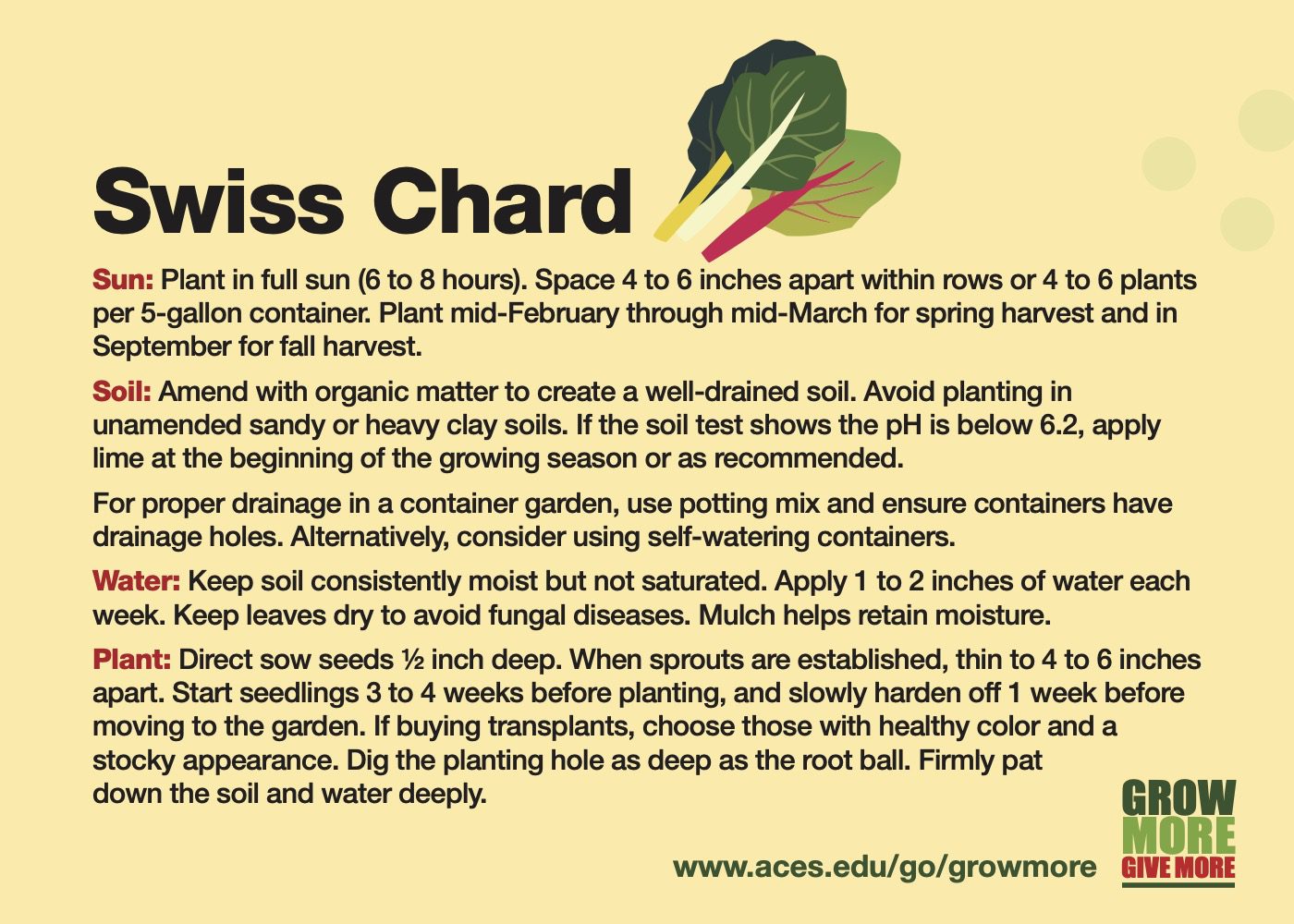 Swiss Chard Card