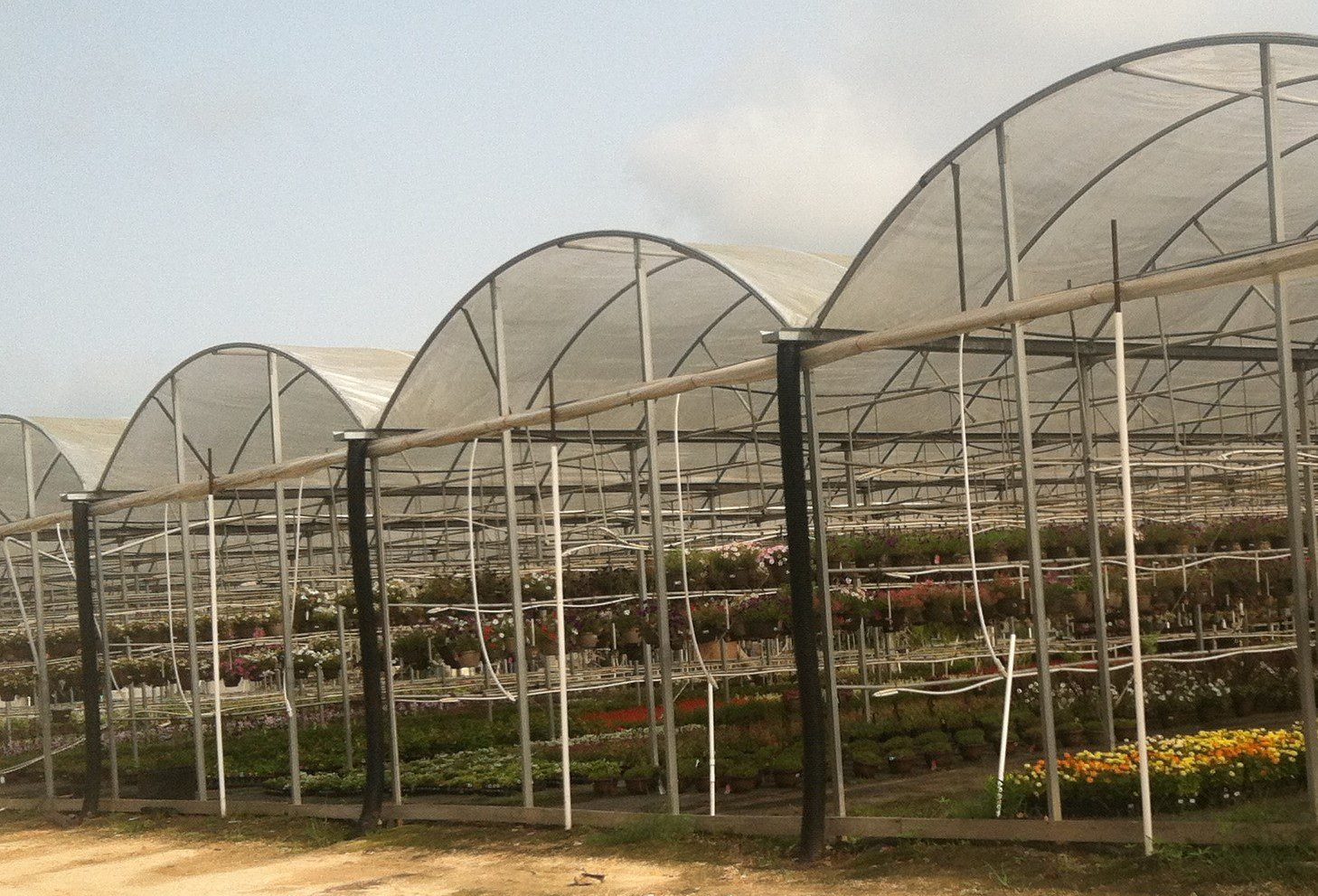 Controlling the Greenhouse Environment for Vegetable Crops Alabama
